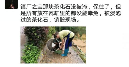 安徽茶叶销毁处理