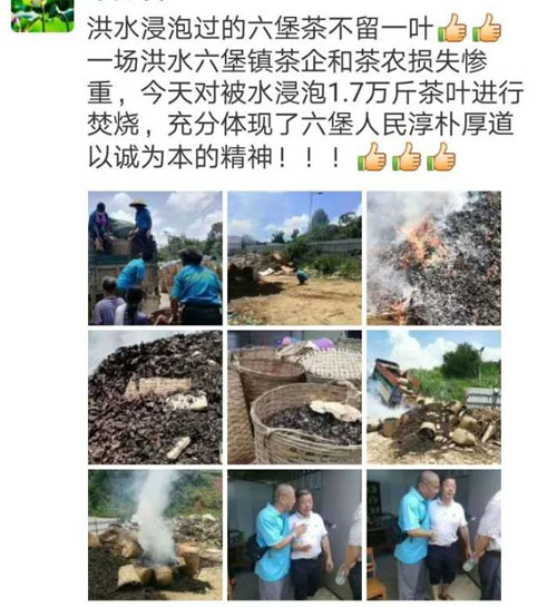 安徽茶叶销毁处理