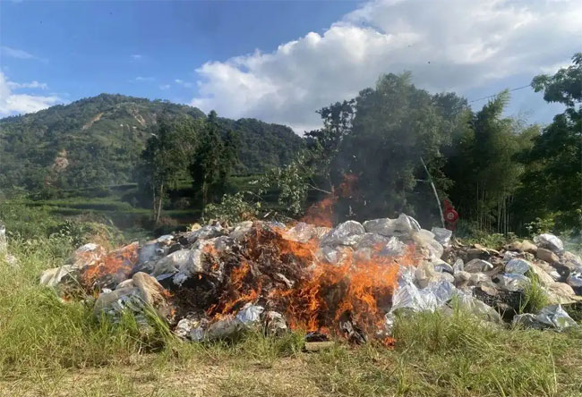 茶叶销毁公司